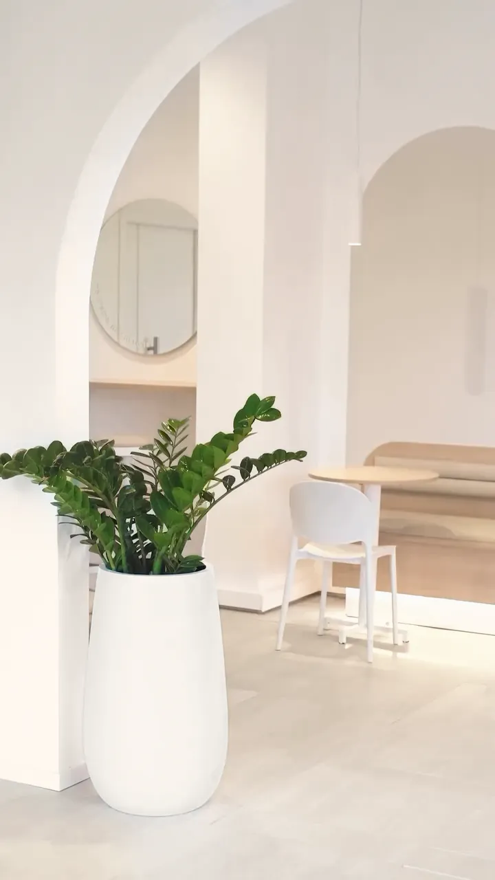 Arched white doorways at KYÔ, a round mirror, and a ZZ plant in a tall white planter beside an oak table
