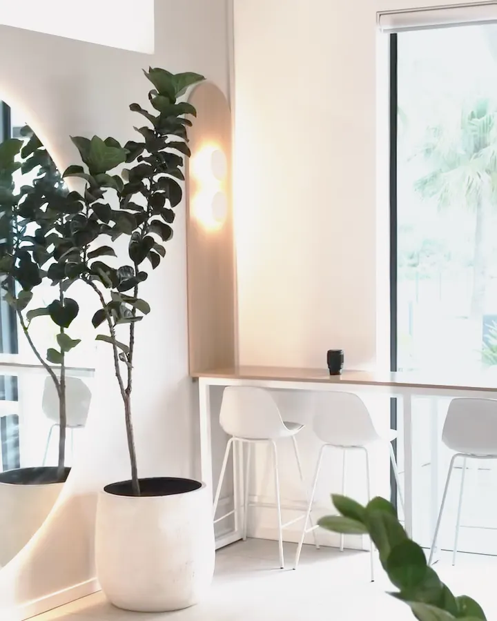 A fiddle-leaf fig beside the window bar at KYÔ, with white stools, an oak arch and palms outside
